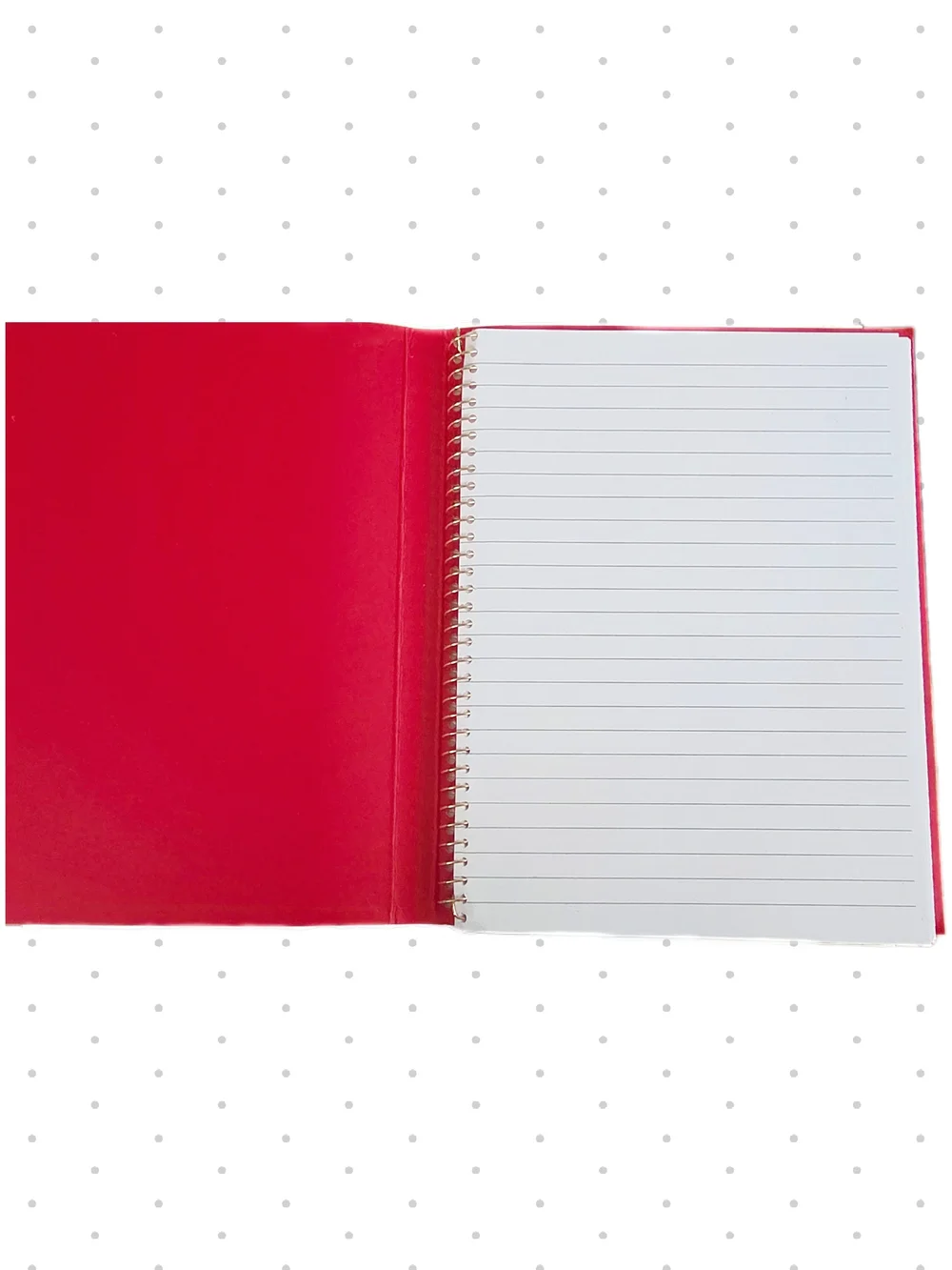 kate spade new never